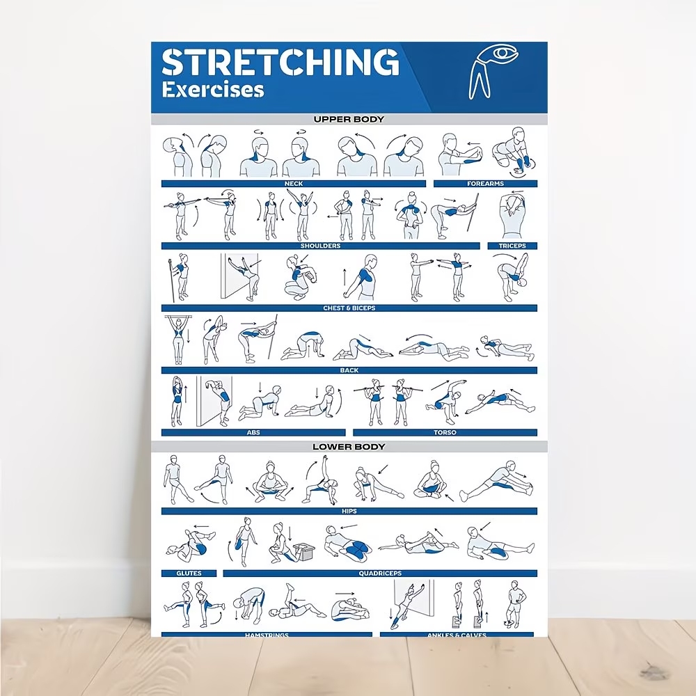 Home Gym Designs - Modern Labeled Full-Body Stretches For Gym