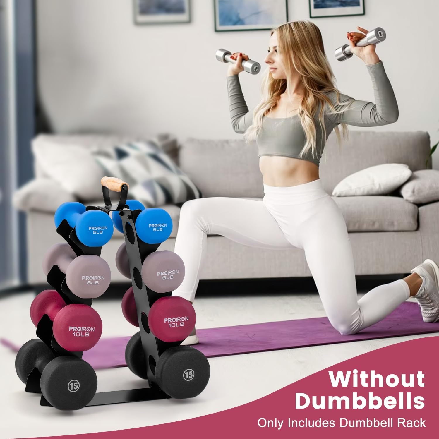 Compact A-Frame Dumbbell Rack  - Home Gym Designs のレビューと価格