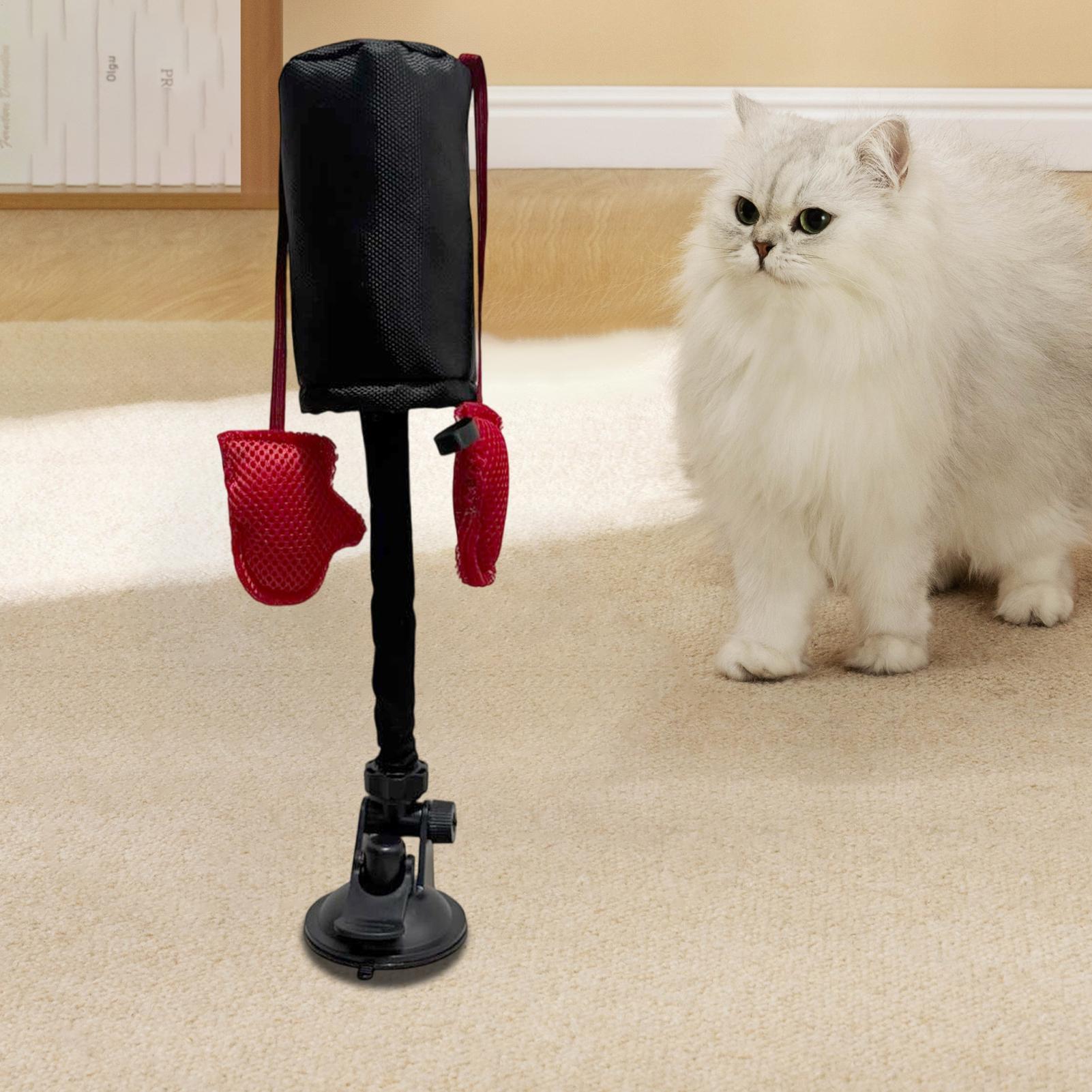 Punching Bag Cat Toy Kitten Gy - Home Gym Garden のレビューと価格