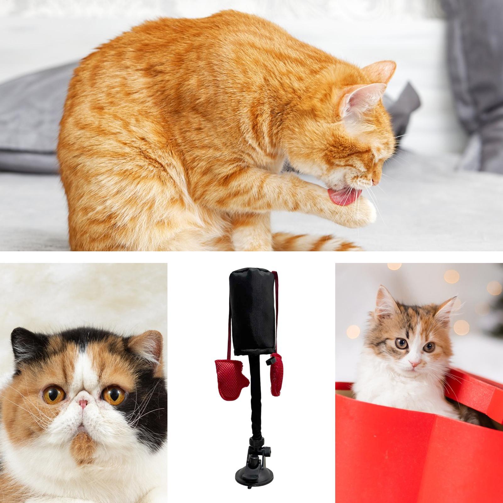 Punching Bag Cat Toy Kitten Gy - Home Gym Garden のレビューと価格