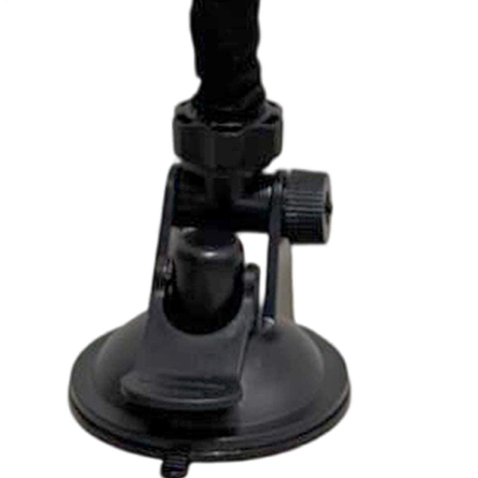 Punching Bag Cat Toy Kitten Gy - Home Gym Garden のレビューと価格