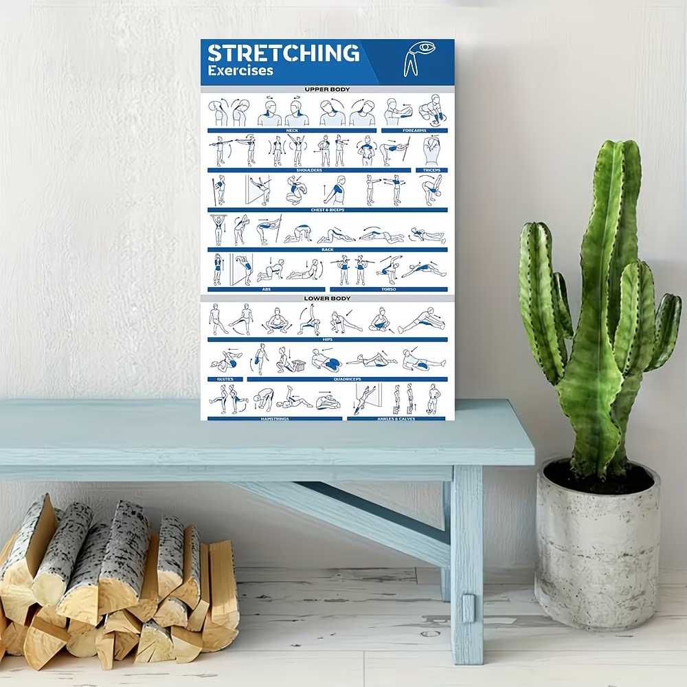 Modern Labeled Full-Body Stret - Home Gym Designs のレビューと価格