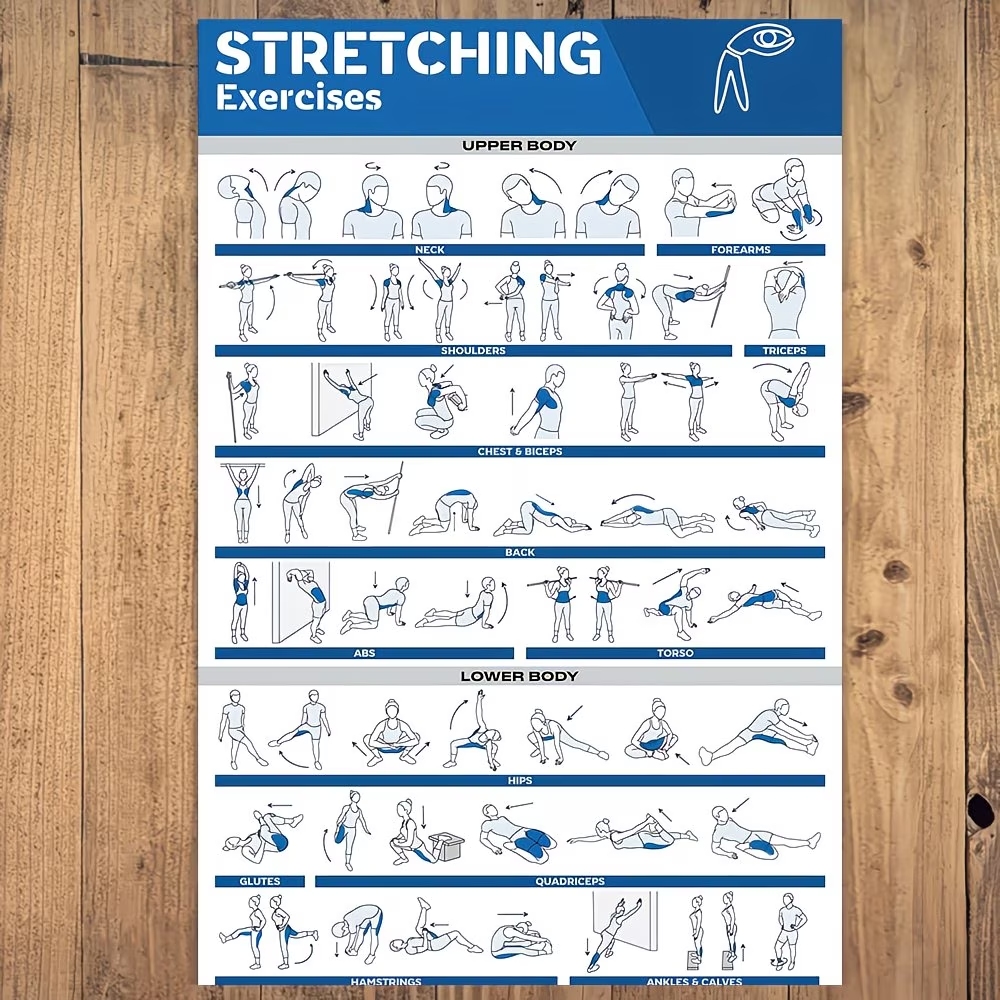 Modern Labeled Full-Body Stret - Home Gym Designs のレビューと価格