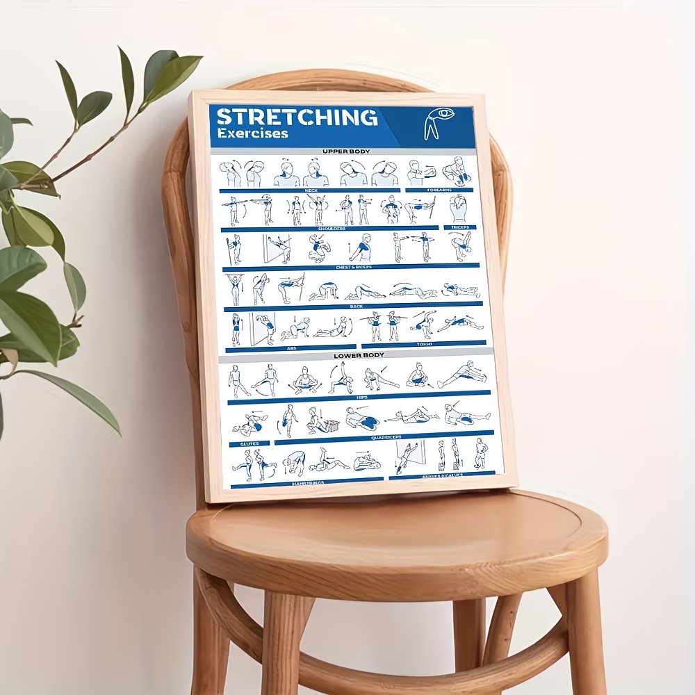 Modern Labeled Full-Body Stret - Home Gym Designs のレビューと価格